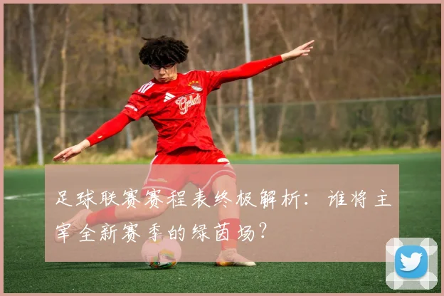 足球联赛赛程表终极解析：谁将主宰全新赛季的绿茵场？