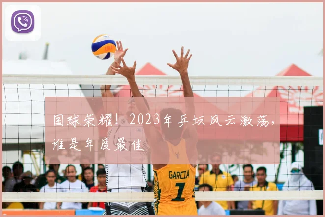 国球荣耀！2023年乒坛风云激荡，谁是年度最佳